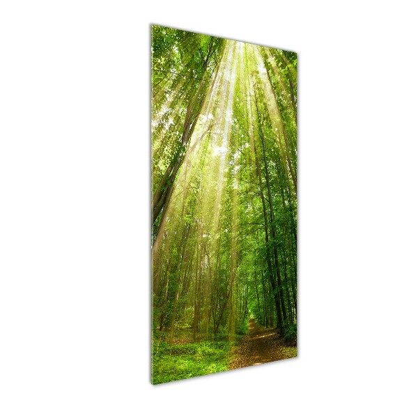 Quadro in vetro acrilico verticale Sentiero nella foresta
