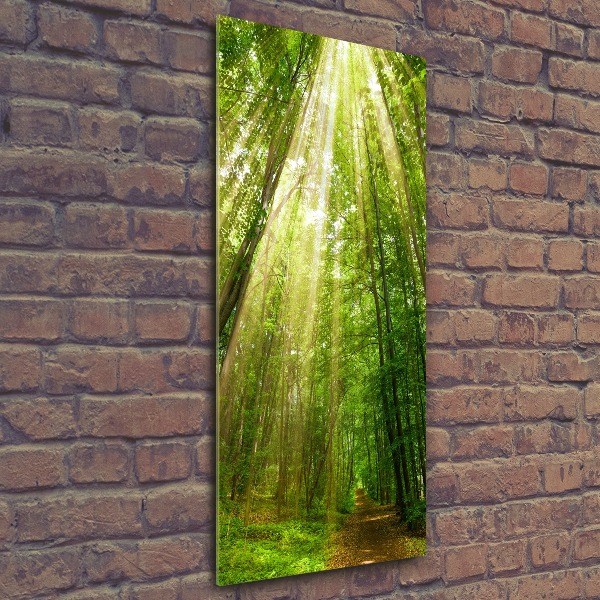 Quadro in vetro acrilico verticale Sentiero nella foresta