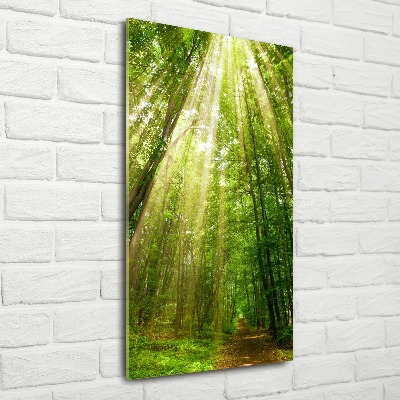 Quadro in vetro acrilico verticale Sentiero nella foresta