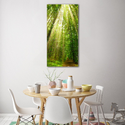Quadro in vetro acrilico verticale Sentiero nella foresta