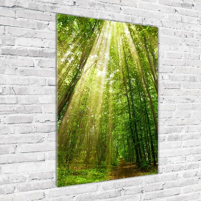 Quadro in vetro acrilico verticale Sentiero nella foresta