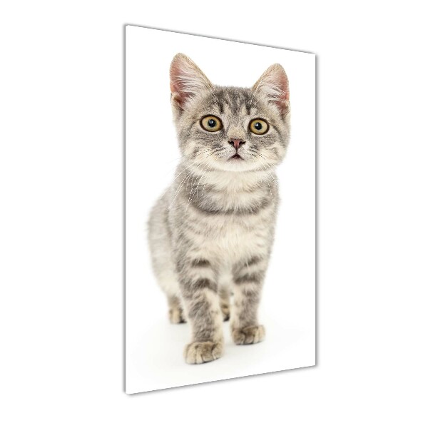 Quadro in vetro acrilico verticale Gatto grigio