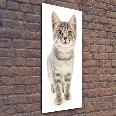 Quadro in vetro acrilico verticale Gatto grigio