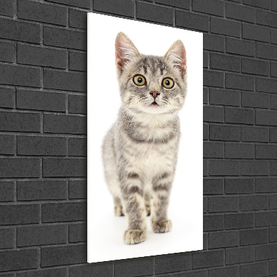 Quadro in vetro acrilico verticale Gatto grigio