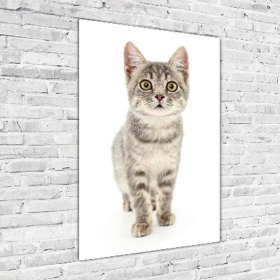 Quadro in vetro acrilico verticale Gatto grigio