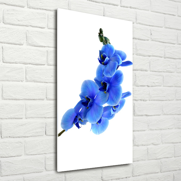 Quadro vetro acrilico verticale Orchidea blu