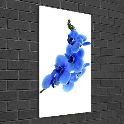 Quadro vetro acrilico verticale Orchidea blu