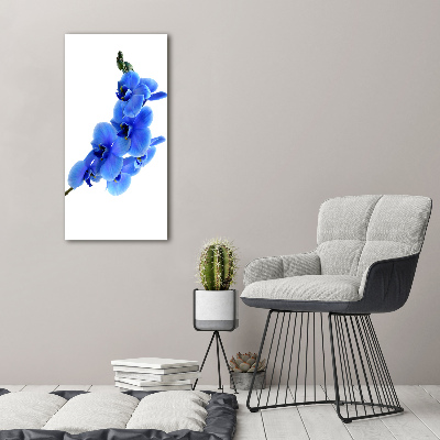 Quadro vetro acrilico verticale Orchidea blu