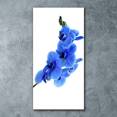 Quadro vetro acrilico verticale Orchidea blu