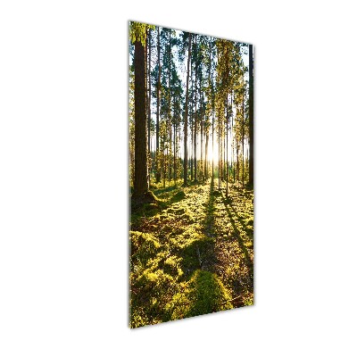 Quadro stampa su vetro acrilico verticale Pineta