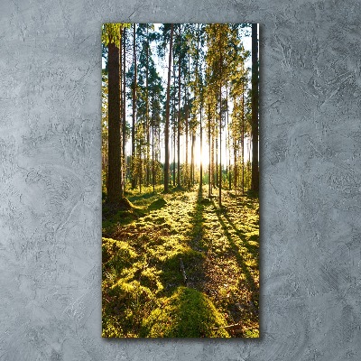 Quadro stampa su vetro acrilico verticale Pineta