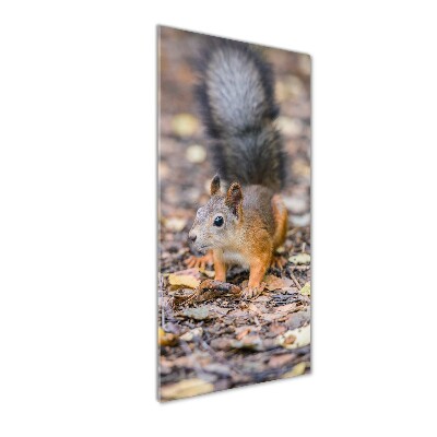 Quadro in vetro acrilico verticale Scoiattolo nella foresta