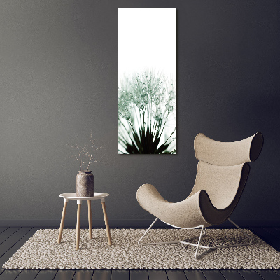 Quadro stampa su vetro acrilico verticale Semi di tarassaco