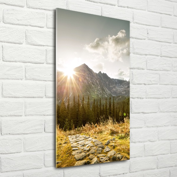 Quadro vetro acrilico verticale Tramonto sui Monti Tatra