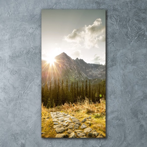 Quadro vetro acrilico verticale Tramonto sui Monti Tatra