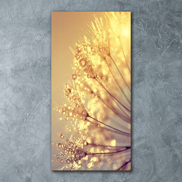 Quadro in vetro acrilico verticale Semi di tarassaco