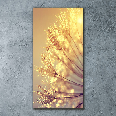 Quadro in vetro acrilico verticale Semi di tarassaco