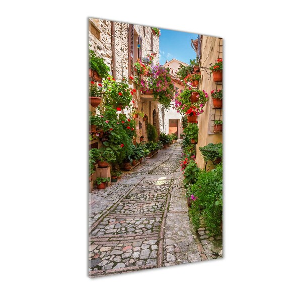 Quadro stampa su vetro acrilico verticale Umbria Italia