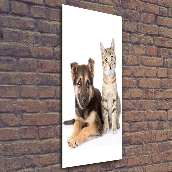 Quadro vetro acrilico verticale Cane e gatto