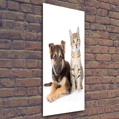 Quadro vetro acrilico verticale Cane e gatto