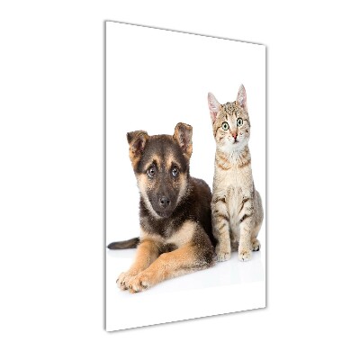 Quadro vetro acrilico verticale Cane e gatto