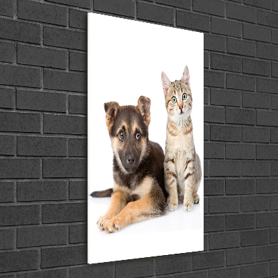 Quadro vetro acrilico verticale Cane e gatto