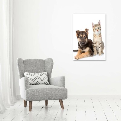 Quadro vetro acrilico verticale Cane e gatto
