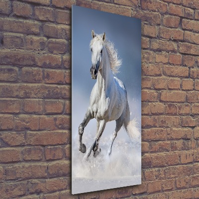 Quadro in vetro acrilico verticale Un cavallo bianco al galoppo