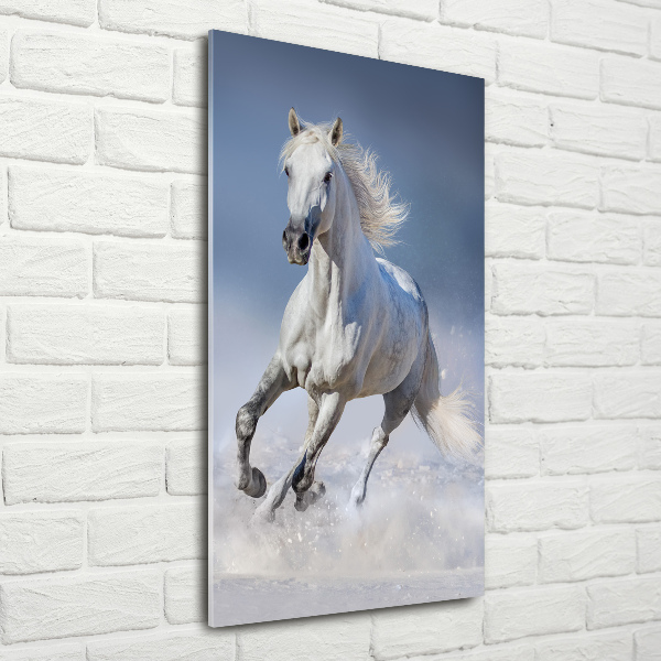 Quadro in vetro acrilico verticale Un cavallo bianco al galoppo