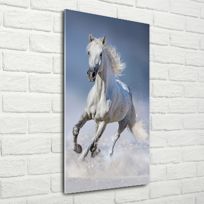 Quadro in vetro acrilico verticale Un cavallo bianco al galoppo