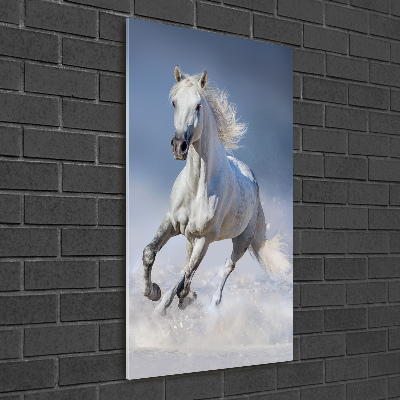 Quadro in vetro acrilico verticale Un cavallo bianco al galoppo