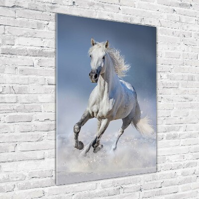 Quadro in vetro acrilico verticale Un cavallo bianco al galoppo
