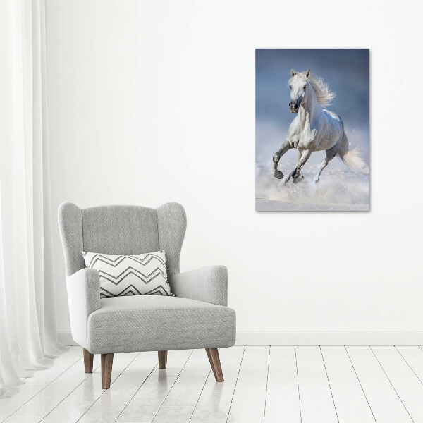 Quadro in vetro acrilico verticale Un cavallo bianco al galoppo