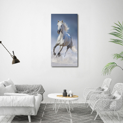 Quadro in vetro acrilico verticale Un cavallo bianco al galoppo