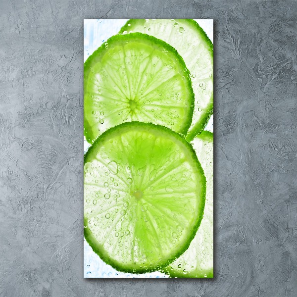 Quadro acrilico verticale Calce sott'acqua