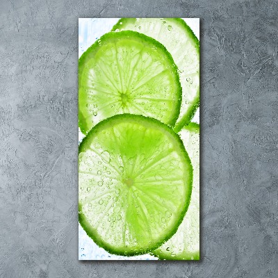 Quadro acrilico verticale Calce sott'acqua