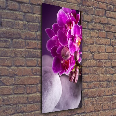 Quadro in vetro acrilico verticale Orchidea rosa