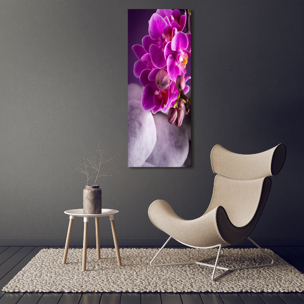 Quadro in vetro acrilico verticale Orchidea rosa