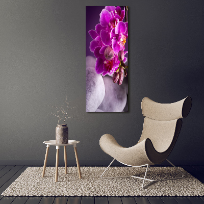 Quadro in vetro acrilico verticale Orchidea rosa