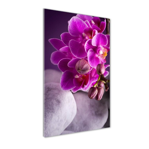Quadro in vetro acrilico verticale Orchidea rosa