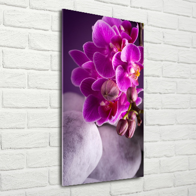 Quadro in vetro acrilico verticale Orchidea rosa