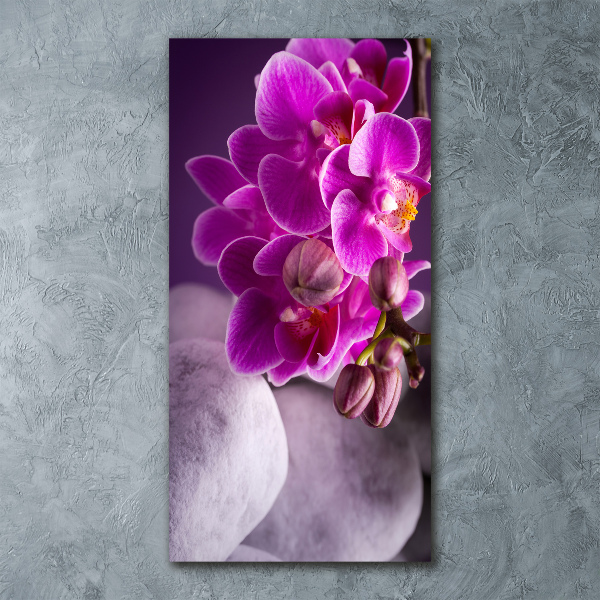 Quadro in vetro acrilico verticale Orchidea rosa