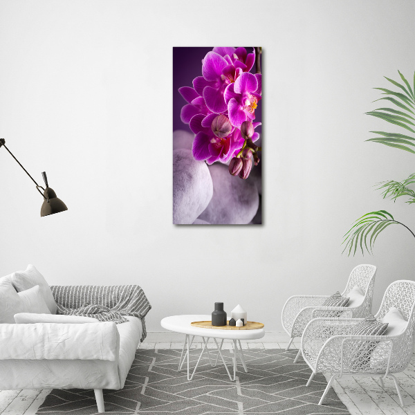 Quadro in vetro acrilico verticale Orchidea rosa