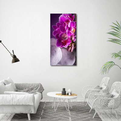 Quadro in vetro acrilico verticale Orchidea rosa