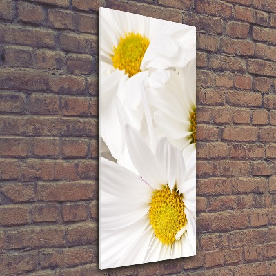 Quadro vetro acrilico verticale Margherite