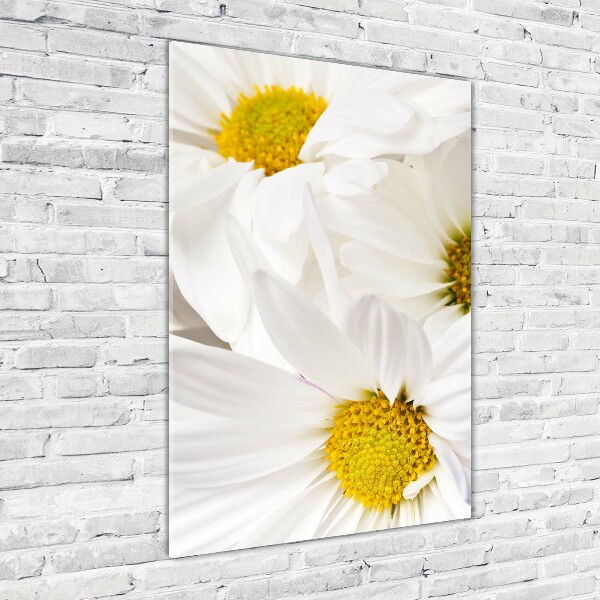 Quadro vetro acrilico verticale Margherite