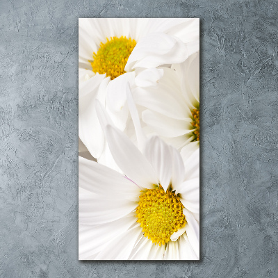 Quadro vetro acrilico verticale Margherite
