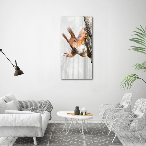 Quadro acrilico verticale Scoiattolo su un albero