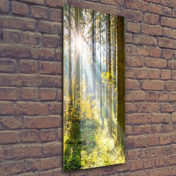 Quadro in vetro acrilico verticale Il sole nella foresta