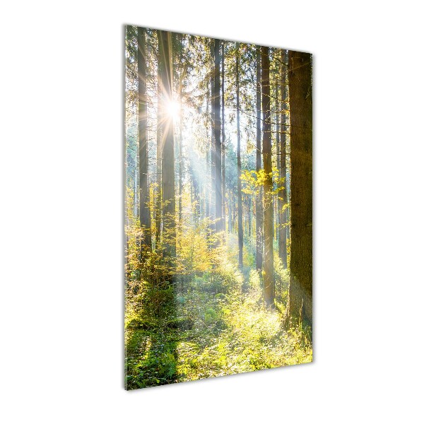 Quadro in vetro acrilico verticale Il sole nella foresta